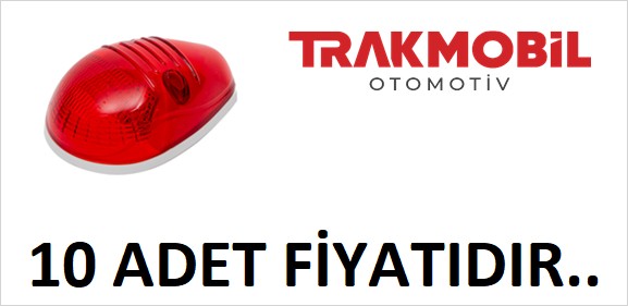 TEPE LAMBA KÜÇÜK LEDLİ (10 ADET) Kırmızı