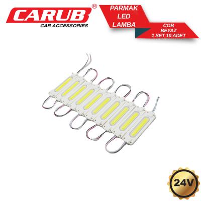 CARUB 24V 10 LU PARMAK LAMBA BEYAZ BALIK SIRTI