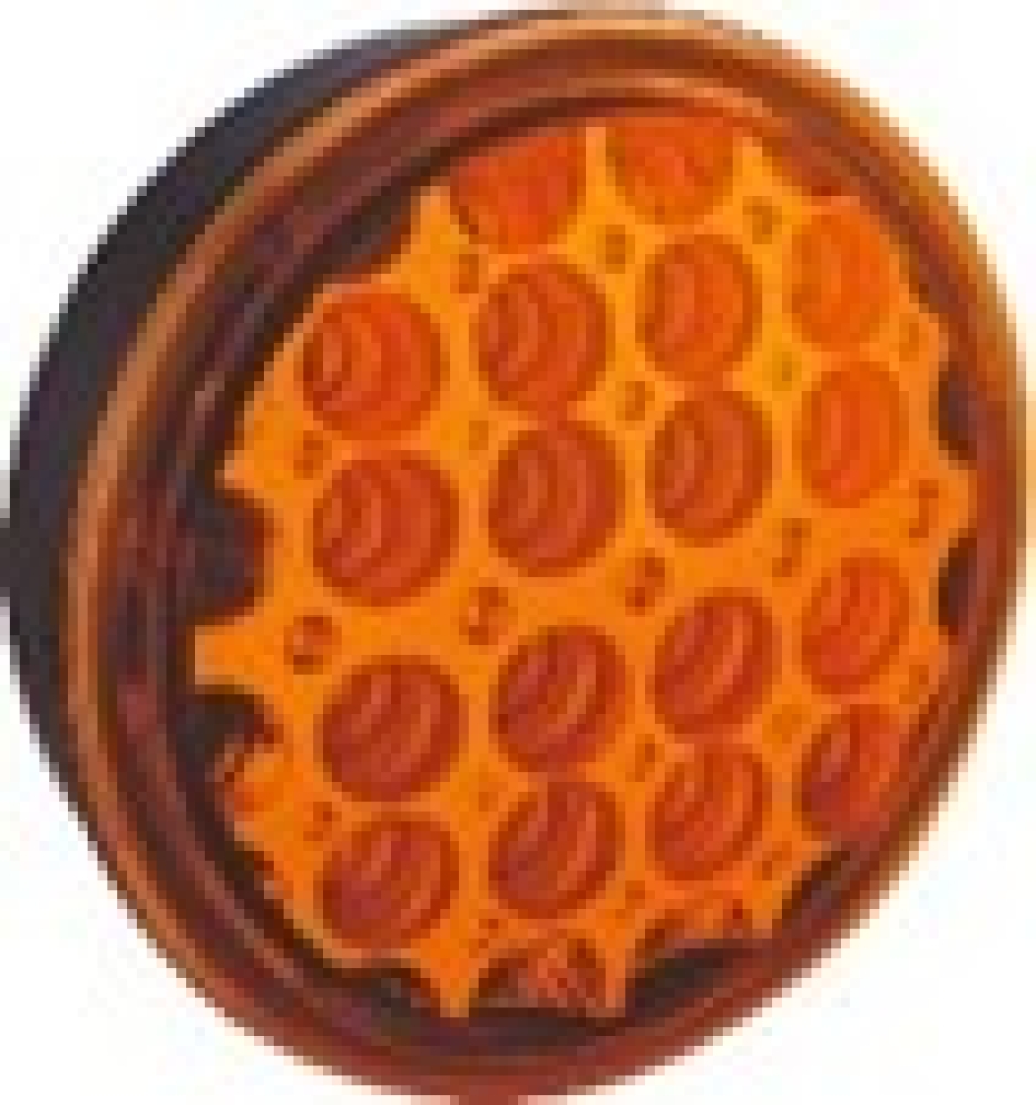 NEWLIGHT TEMSA OTOBÜS LEDLİ SİNYAL LAMBA (SARI CAM)